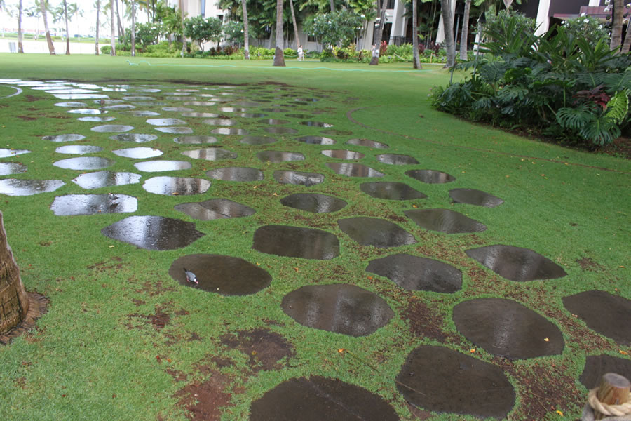 lava stone flagstone garden