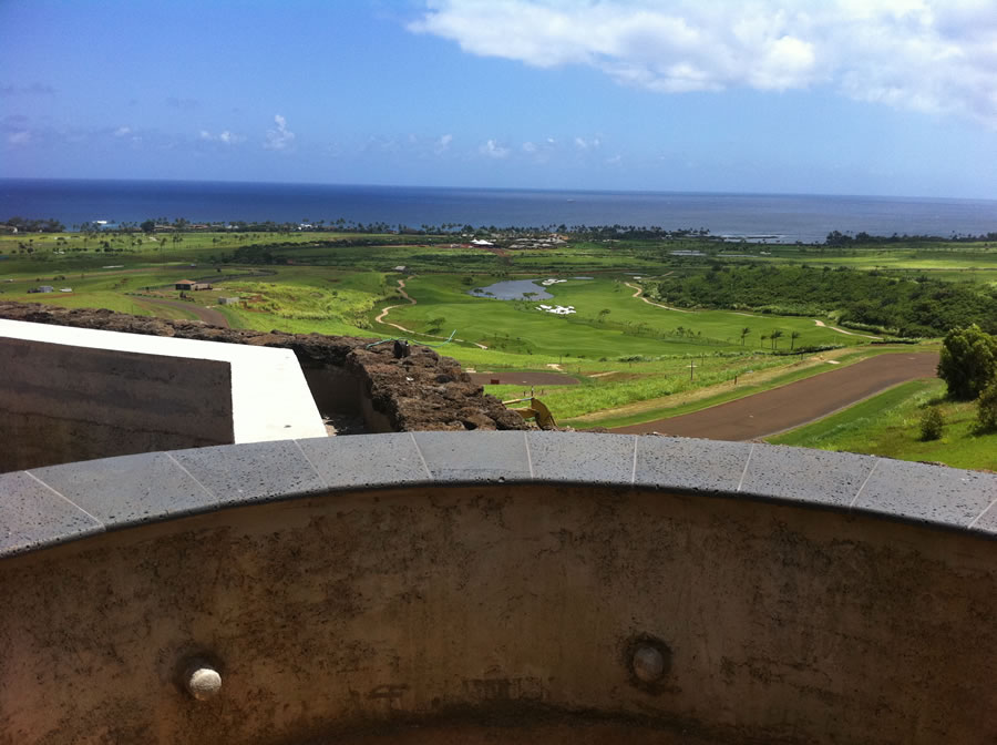 lava stone front yard