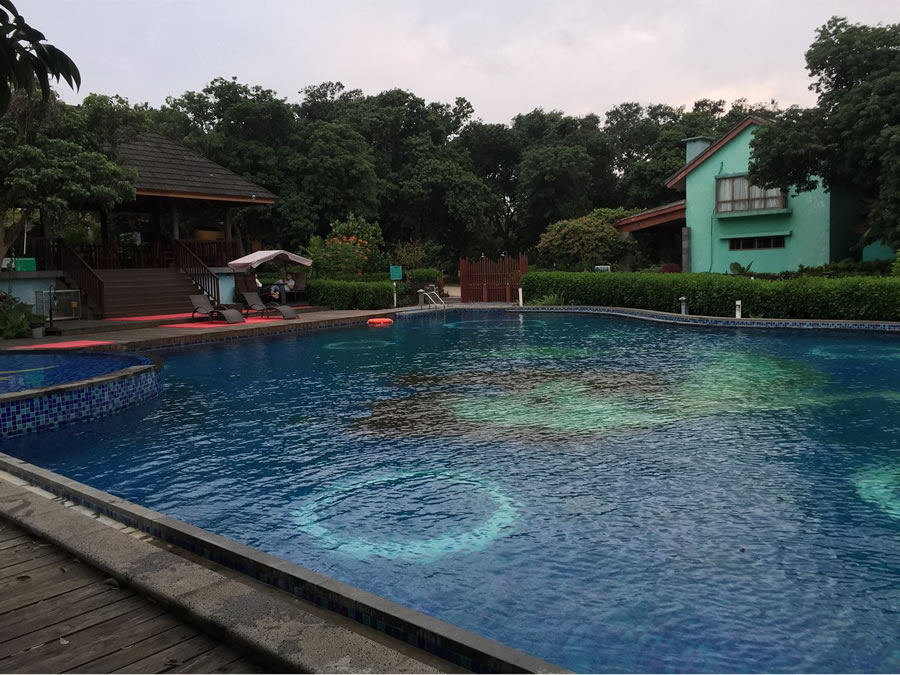 lava stone swimming pool